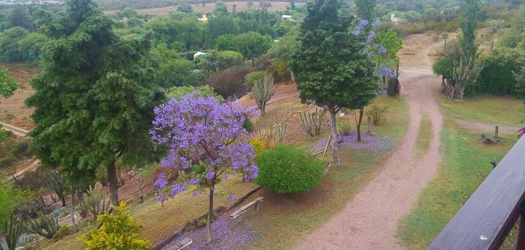 לה ריוחה Cabanas Altos Del Velazco מראה חיצוני תמונה