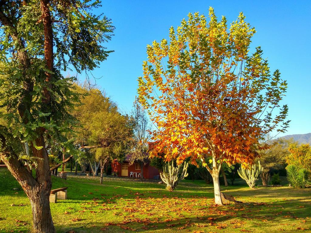 לה ריוחה Cabanas Altos Del Velazco מראה חיצוני תמונה