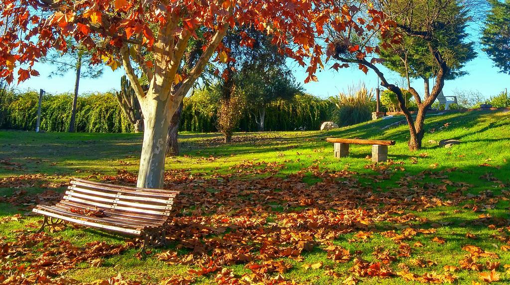 לה ריוחה Cabanas Altos Del Velazco מראה חיצוני תמונה